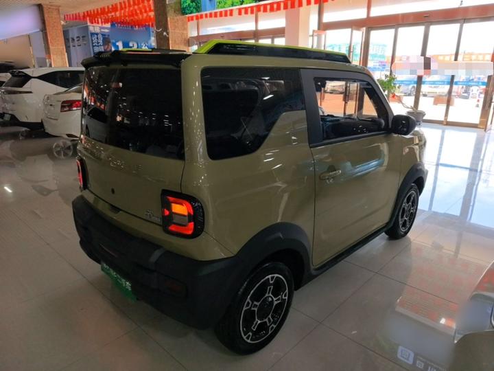 2025 210km Panda photo 4