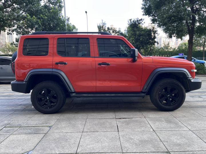 300 2021 Off-road 2.0T Conqueror photo 4