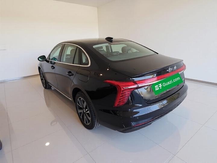 H5 PHEV 2025 130 photo 4