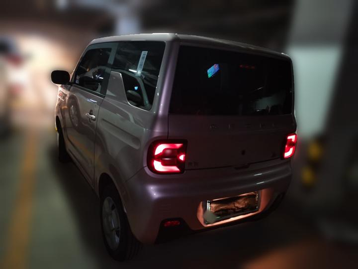 2023 Panda mini 200km Endurance Bear photo 4