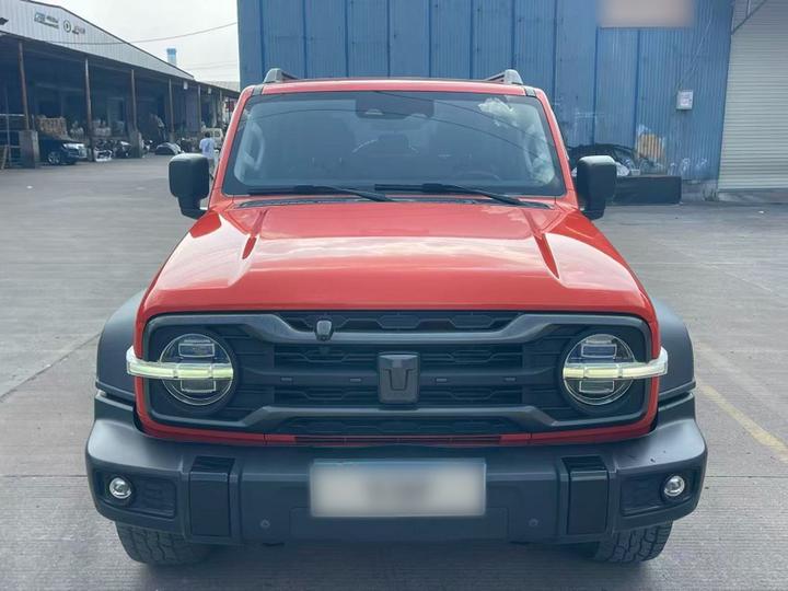 300 2021 Off-road 2.0T Conqueror photo 2