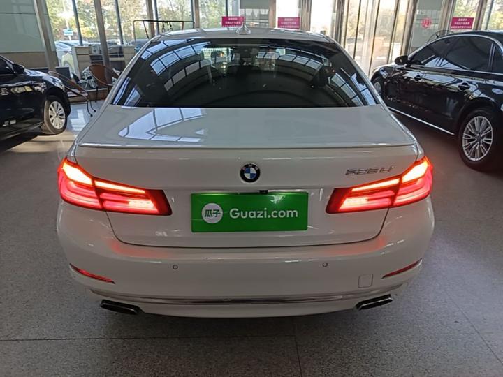 5 Series 2018 528Li Special photo 5