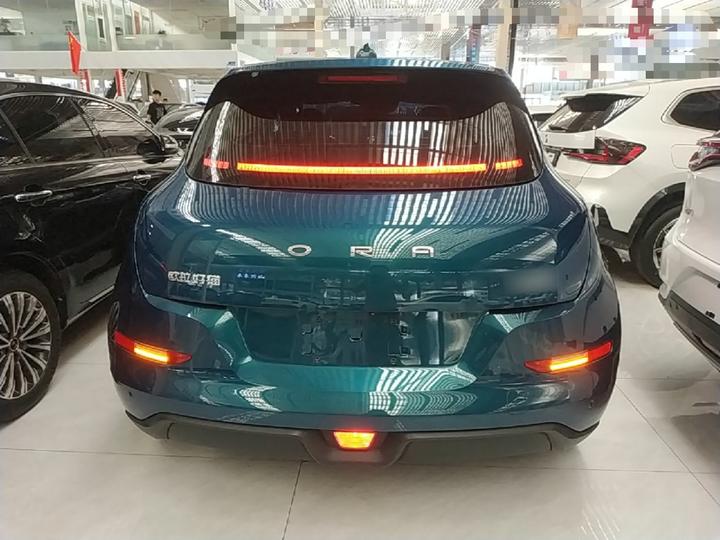 Good Cat 2024 501km Luxury photo 3