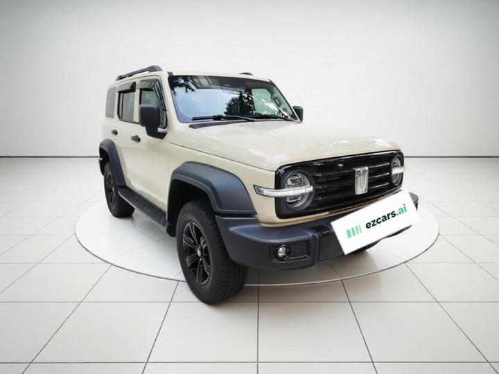 300 2025 2.0T Petrol Conqueror photo 3