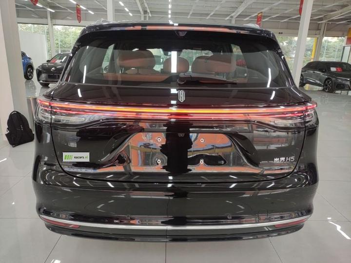 HIMA H5 2025 EV Max Long Range photo 3
