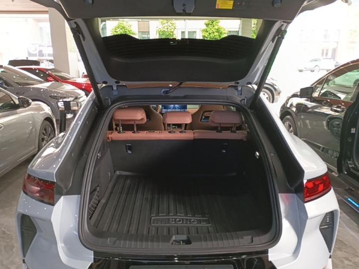 Song L EV 2025 ADAS 550km Excellence photo 8
