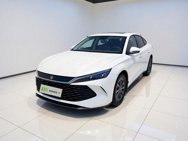 Qin L 2024 DM-i 80KM Leading