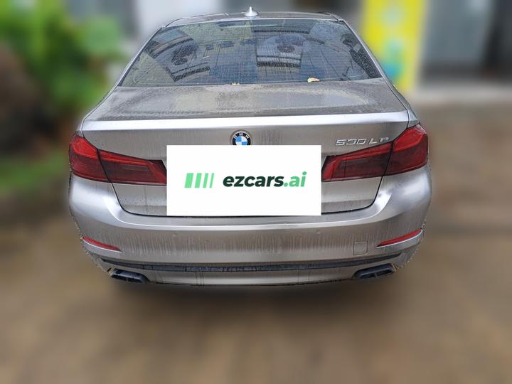 5 Series EV 2020 530Le Luxury photo 5