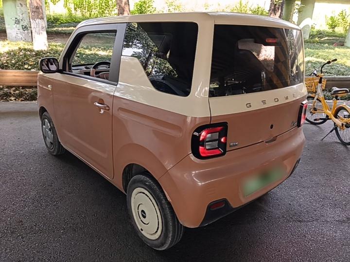 2023 Panda mini 200km Endurance Bear photo 4