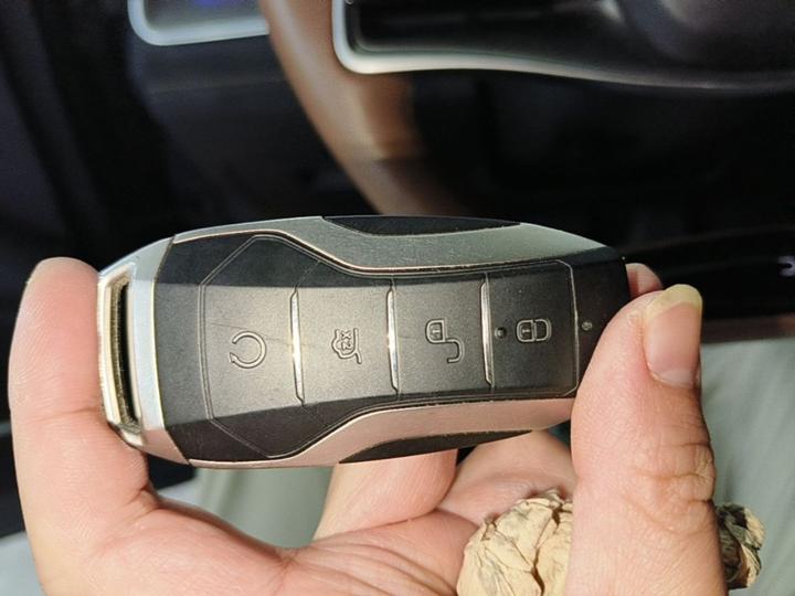 Tang EV 2021 DM-i 112KM Noble photo 8