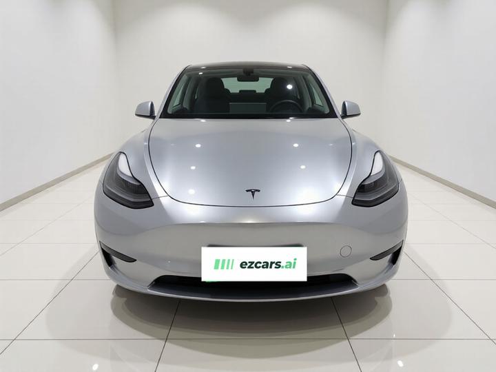 Model Y 2024 RWD photo 2