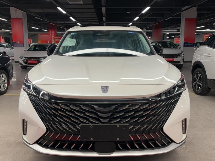 RX5 EV 2023 eRX5 photo 2