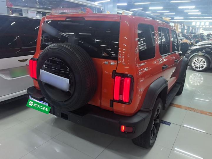 300 2021 Off-road 2.0T Conqueror photo 4