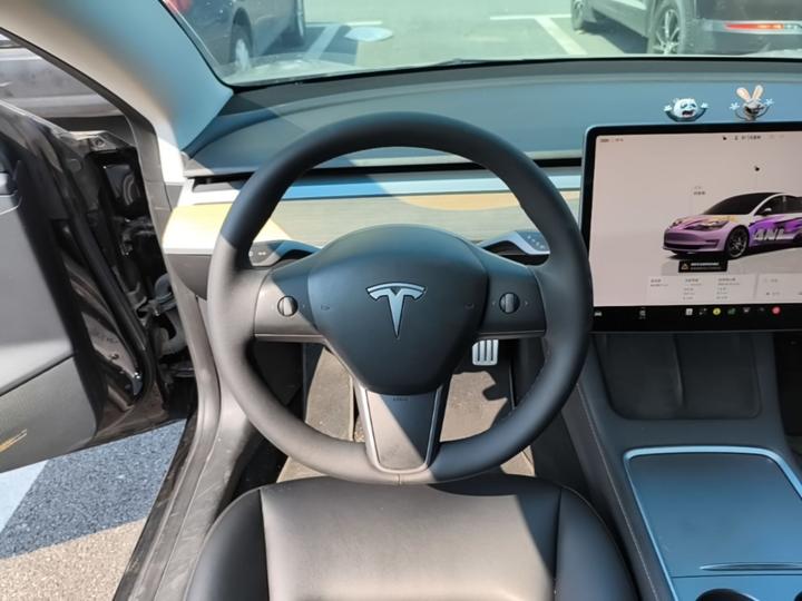 Model 3 2022 Performance AWD photo 6