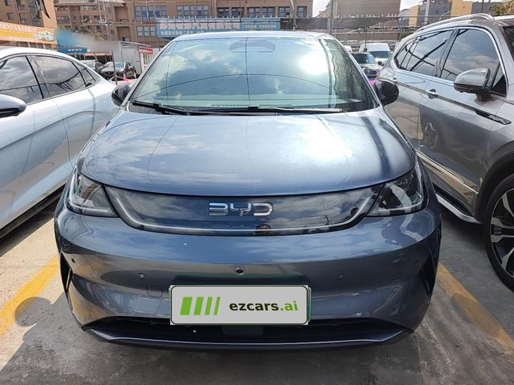 Dolphin 2025 ADAS 420km