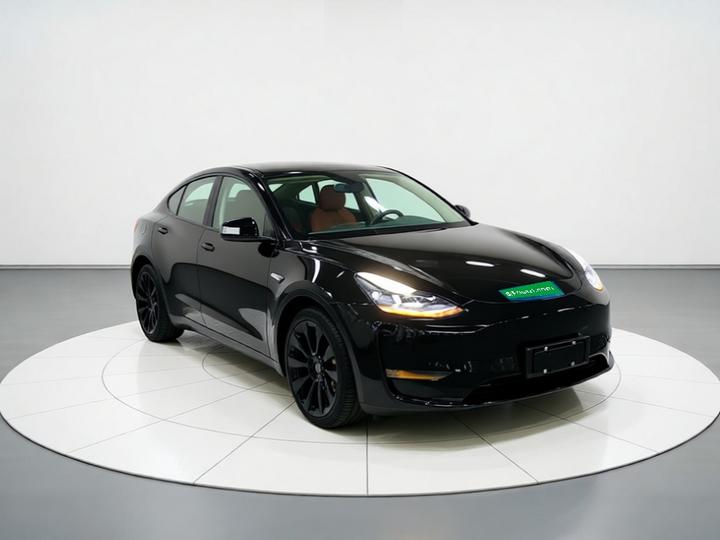 Model Y 2022 Long Range AWD photo 3