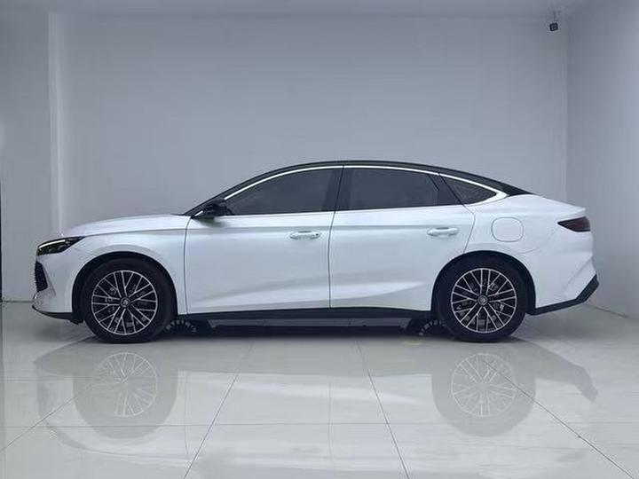Qin L 2024 DM-i 120KM Excellence photo 5