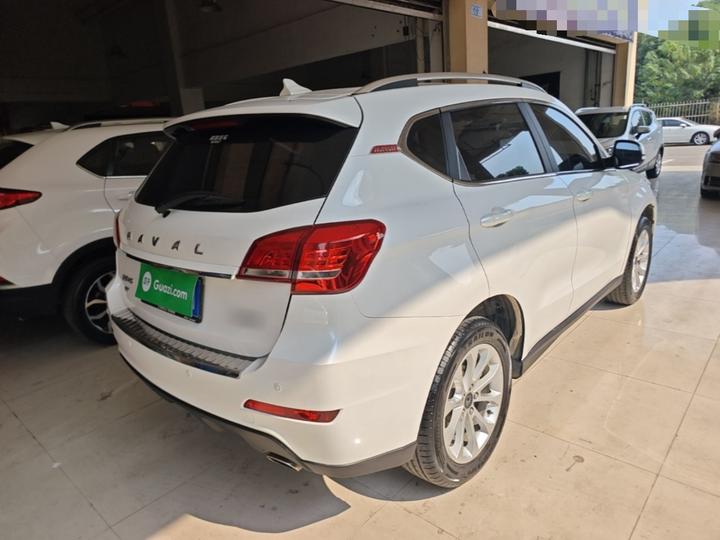 H2 2017 Red Label 1.5T MT RWD Elite photo 6
