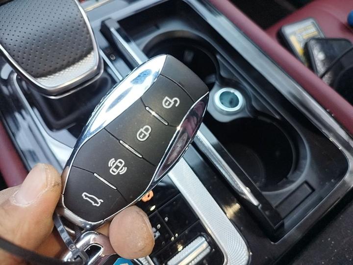 H5 PHEV 2025 130 photo 8