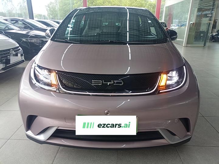 Dolphin 2023 420km Fashion photo 2