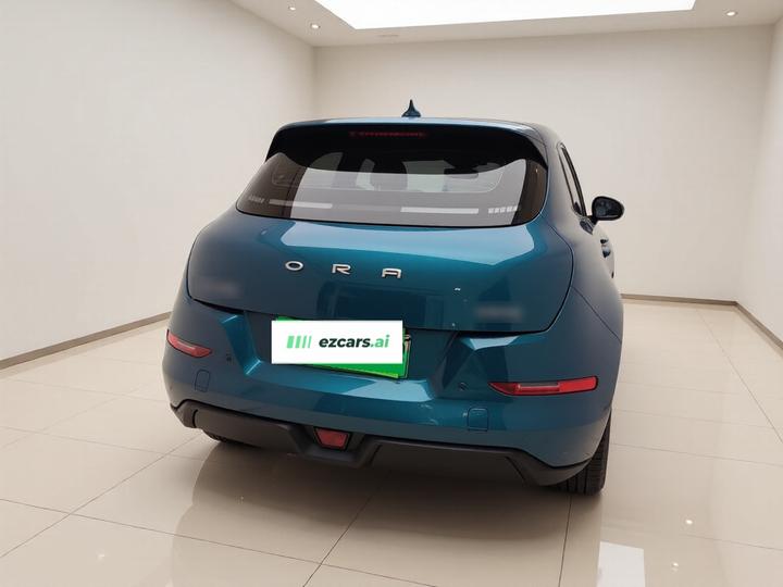Good Cat 2023 401km Standard Range LFP photo 5