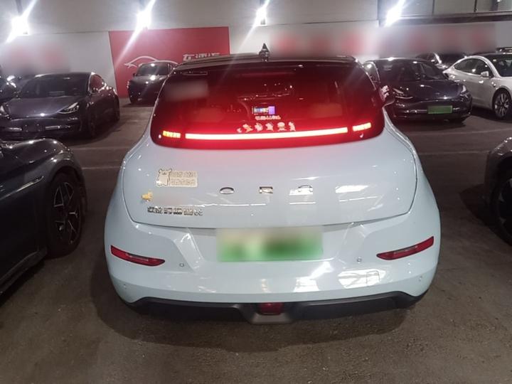 Good Cat 2022 400km Standard Range Premium LFP photo 3