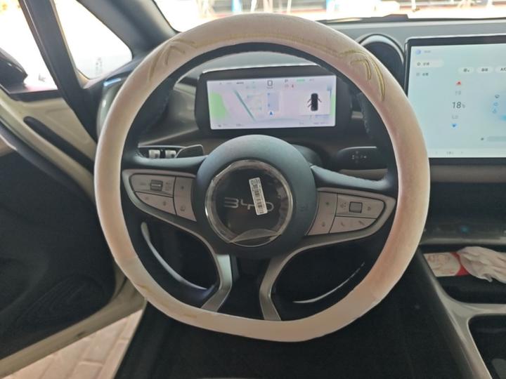 Dolphin 2025 ADAS 420km photo 2