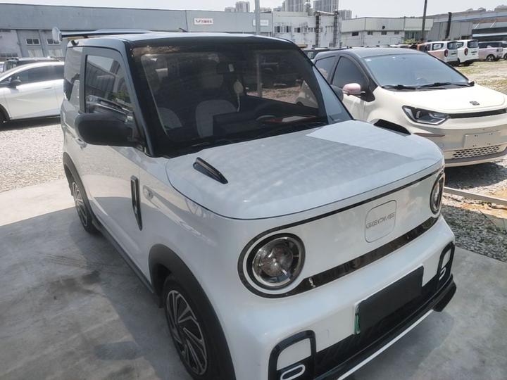 2024 200km Panda photo 3