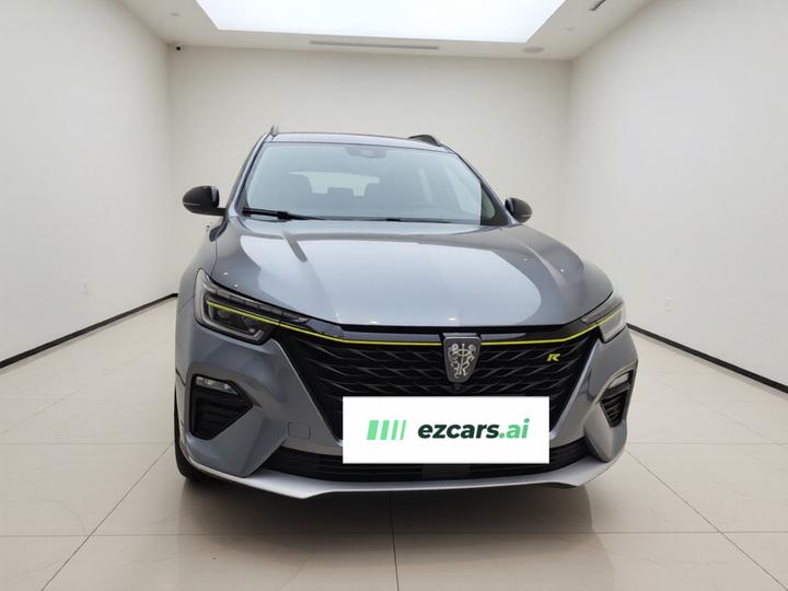 RX5 EV 2020 ePLUS Luxury photo 2