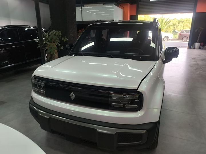 Plus 2024 Flagship 4-Seater photo 2