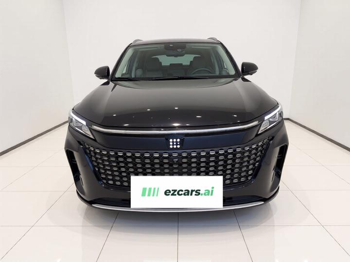 Bluelectric E5 2023 1.5L DE-i 110KM Flagship 7-Seater photo 2