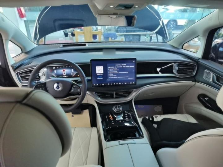 D9 2024 DM-i 980 AWD Noble photo 5