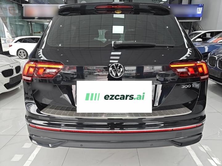 Tiguan L 2024 300TSI AT RWD photo 5