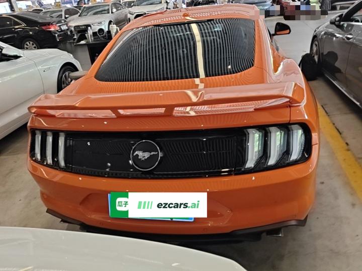 Mustang Parallel Import photo 3