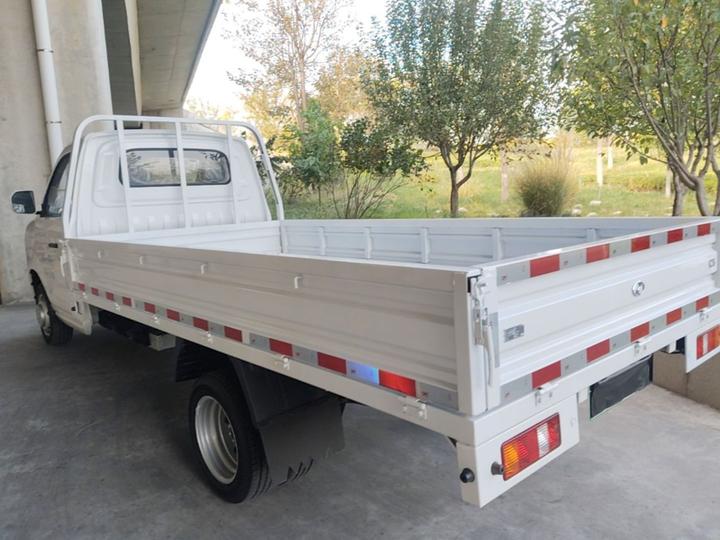 Ruichi C5 2025 EV Single Cab photo 4