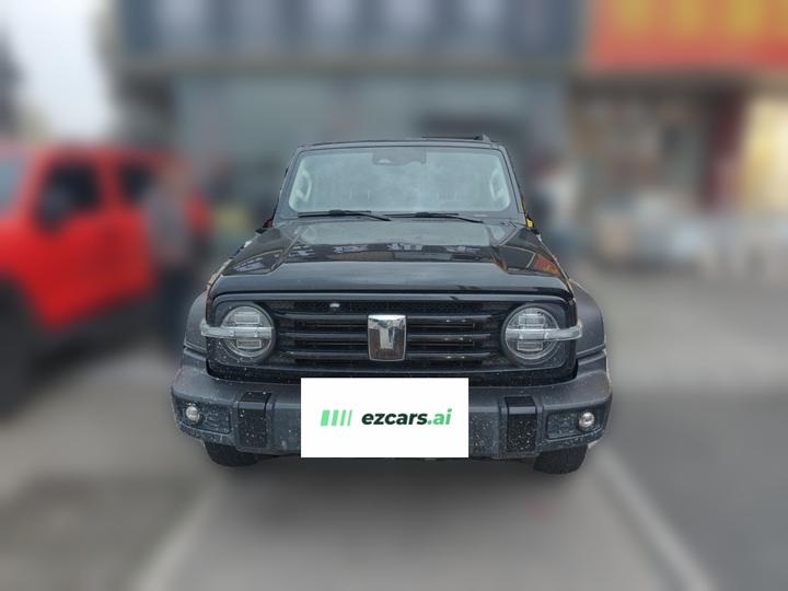 300 2023 Off-road 2.0T photo 2