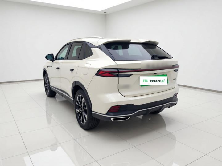 RX5 EV 2023 eRX5 Comfort photo 4
