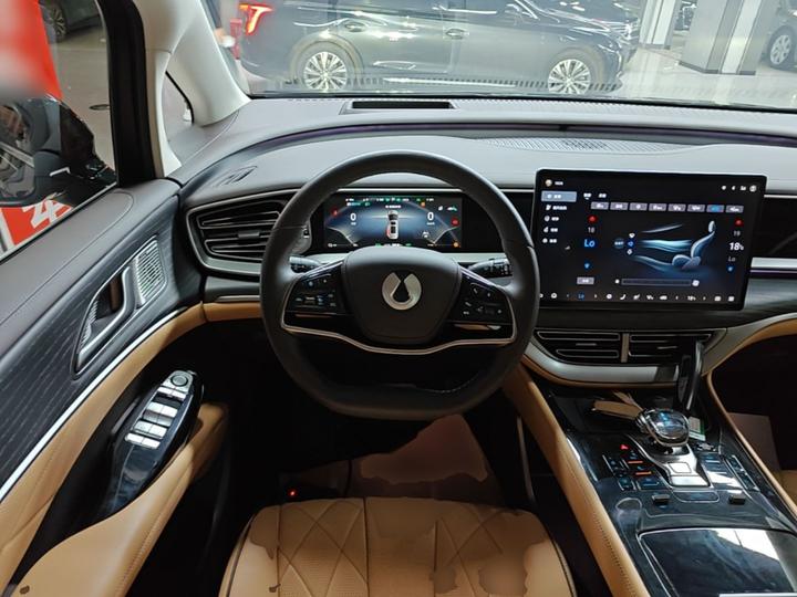 D9 2024 DM-i 980 AWD Noble photo 6