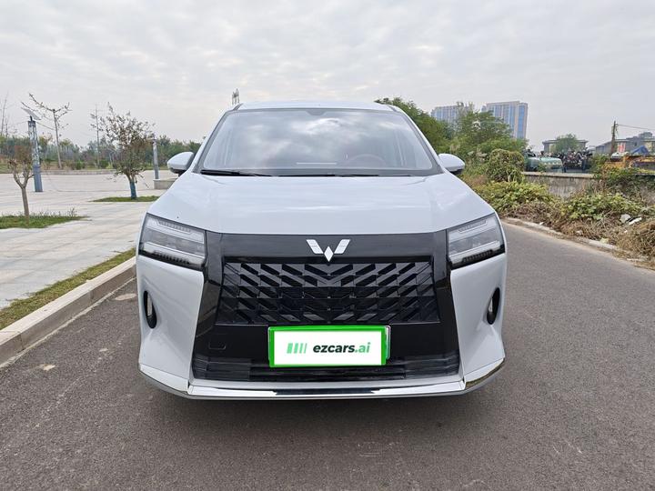 730 EV 2025 125km Luxury photo 2