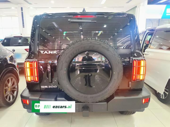 300 2023 Off-road 2.0T Conqueror photo 5