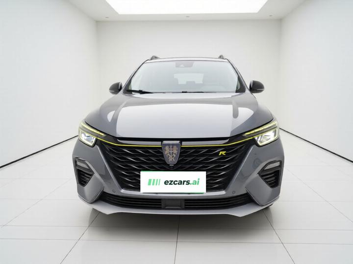 RX5 EV 2020 ePLUS Flagship photo 2