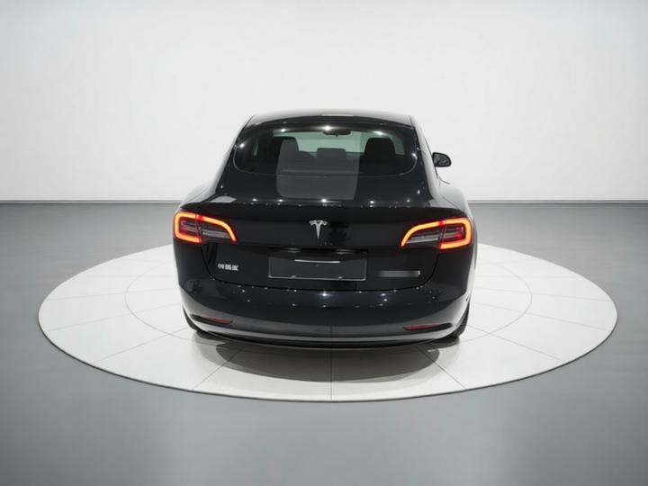 Model 3 2022 RWD photo 5