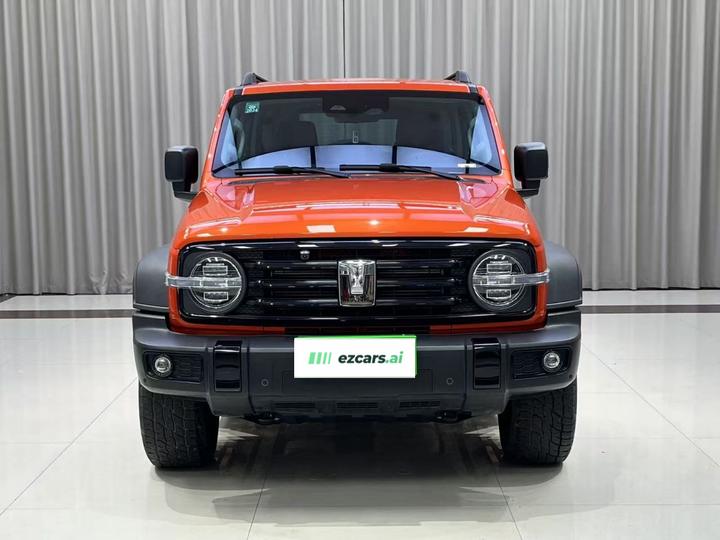300 2021 Off-road 2.0T Conqueror photo 2