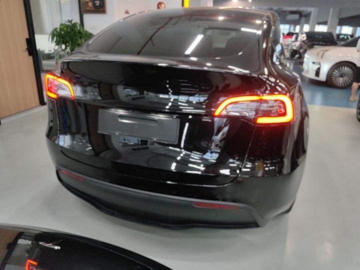 Model Y 2021 Long Range AWD photo 3
