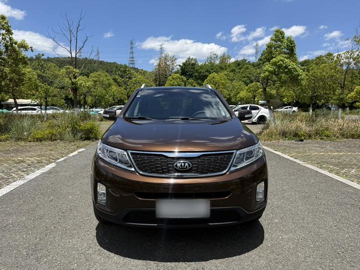 2013 2.2T 7-Seater Diesel Luxury photo 3