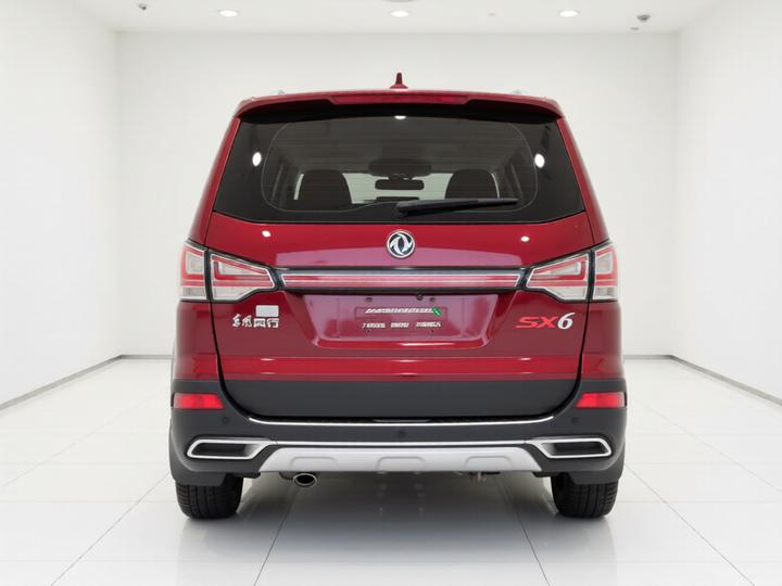 Forthing SX6 2016 1.6L MT Luxury photo 5