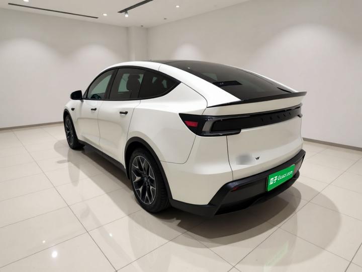 Model Y L 2025 Long Range AWD photo 4