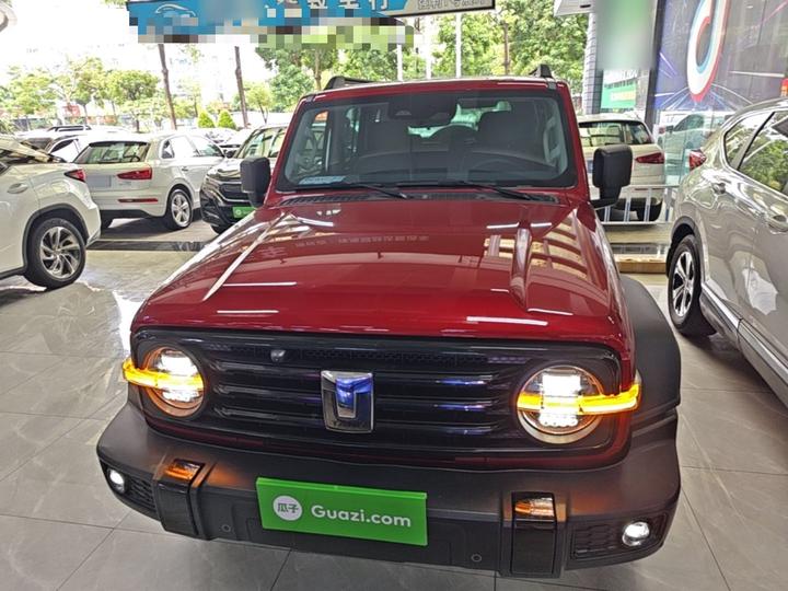 300 2023 Off-road 2.0T photo 2