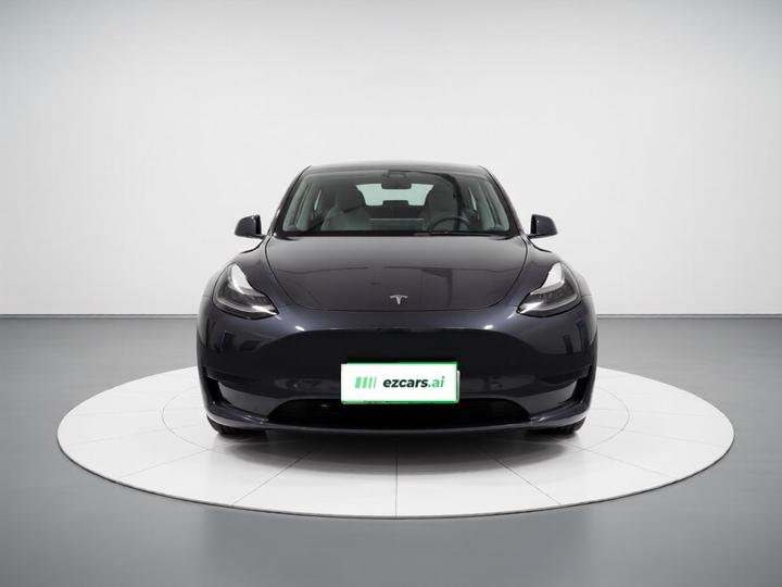 Model Y 2021 Performance AWD photo 2