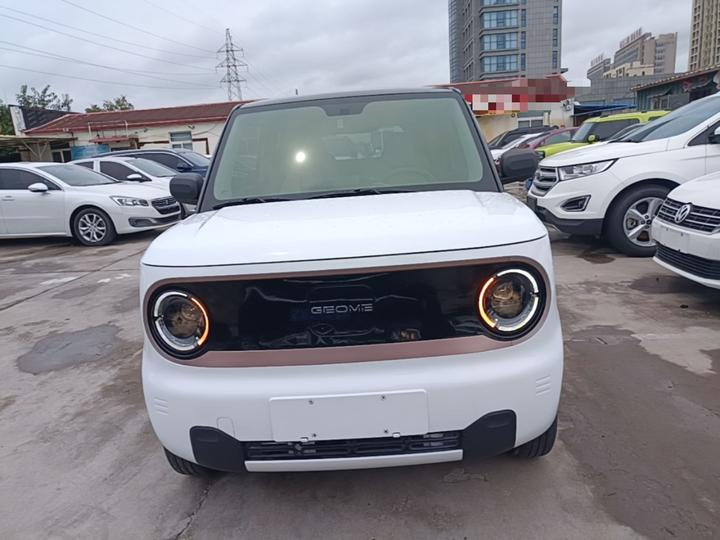 2023 Panda mini photo 2
